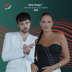 Cover of 325