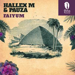 Cover of Faiyum
