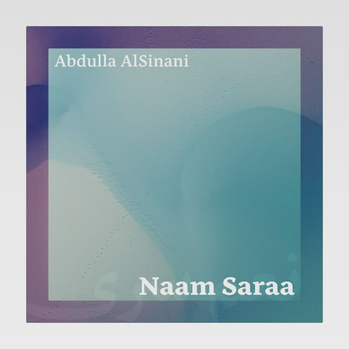 Album cover of Naam Saraa