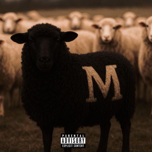 Black Sheep