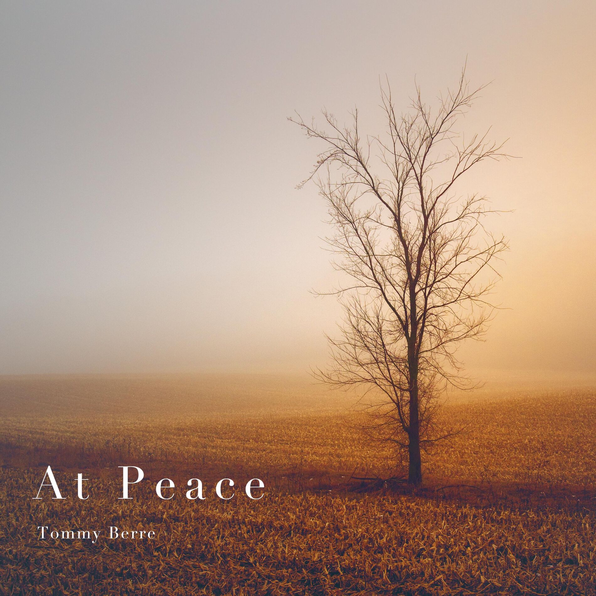Album cover of At Peace