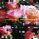 Love Minus Zero by Tiga album cover