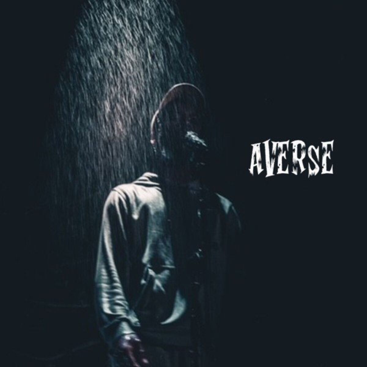 Album cover of Averse