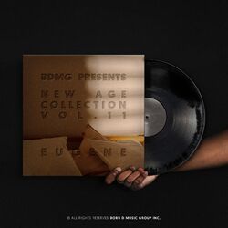 Cover of BDMG : New Age Collection Vol.11