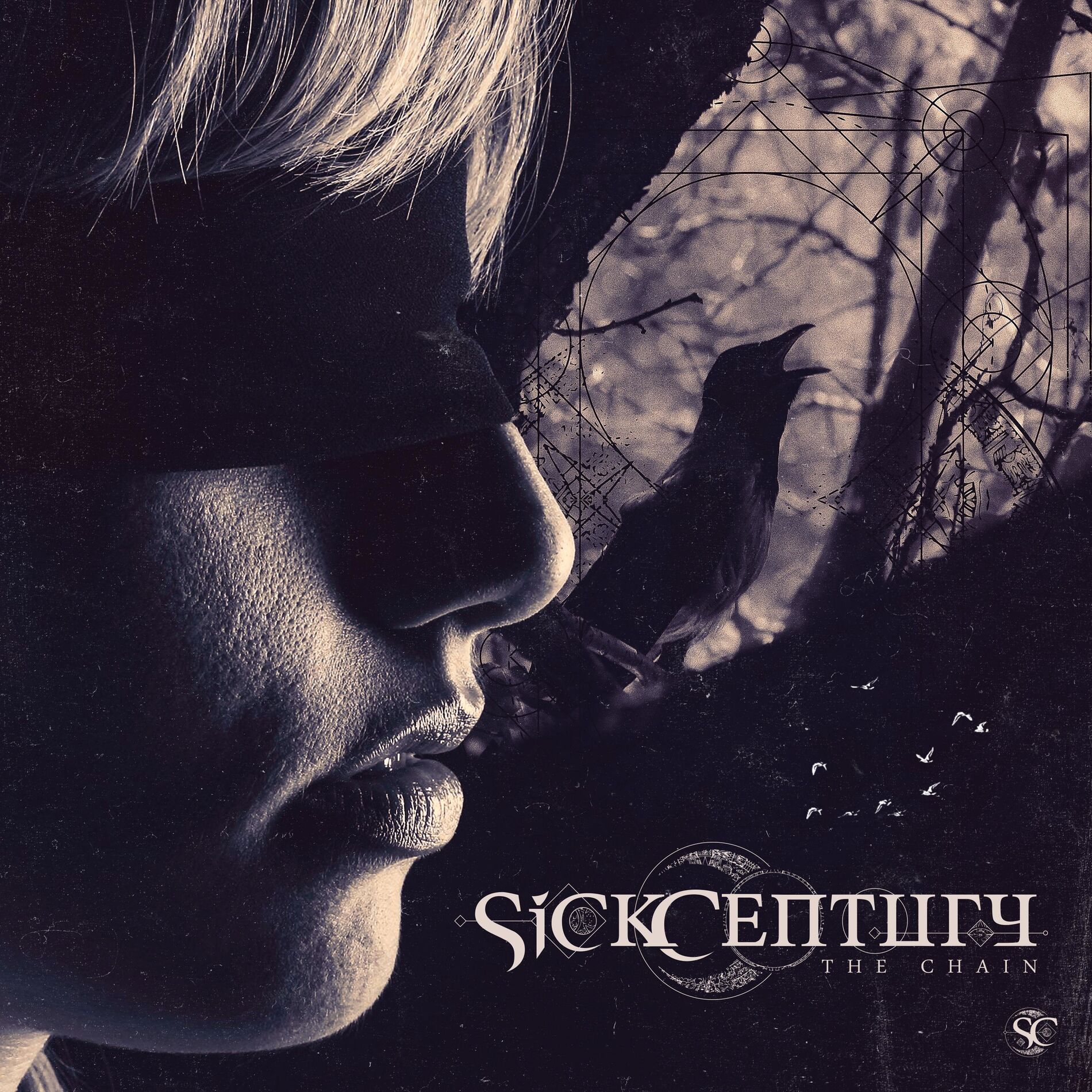 Album cover of The Chain