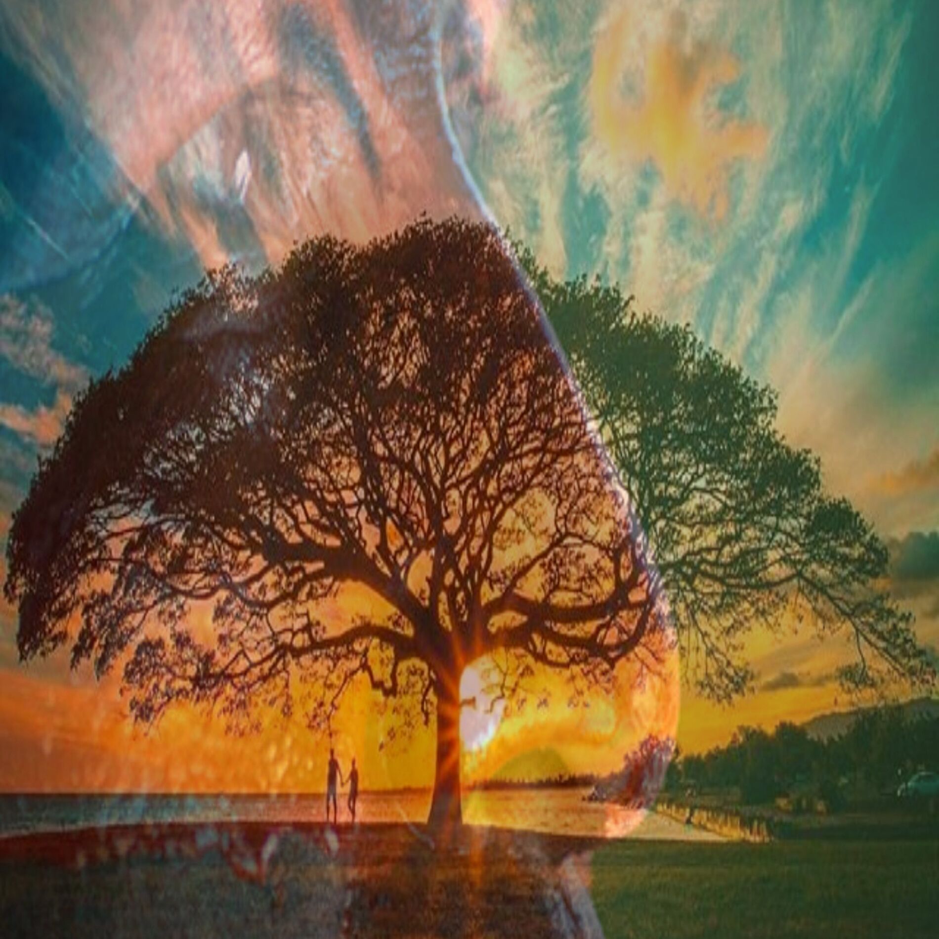 Album cover of A Voz de um Avô