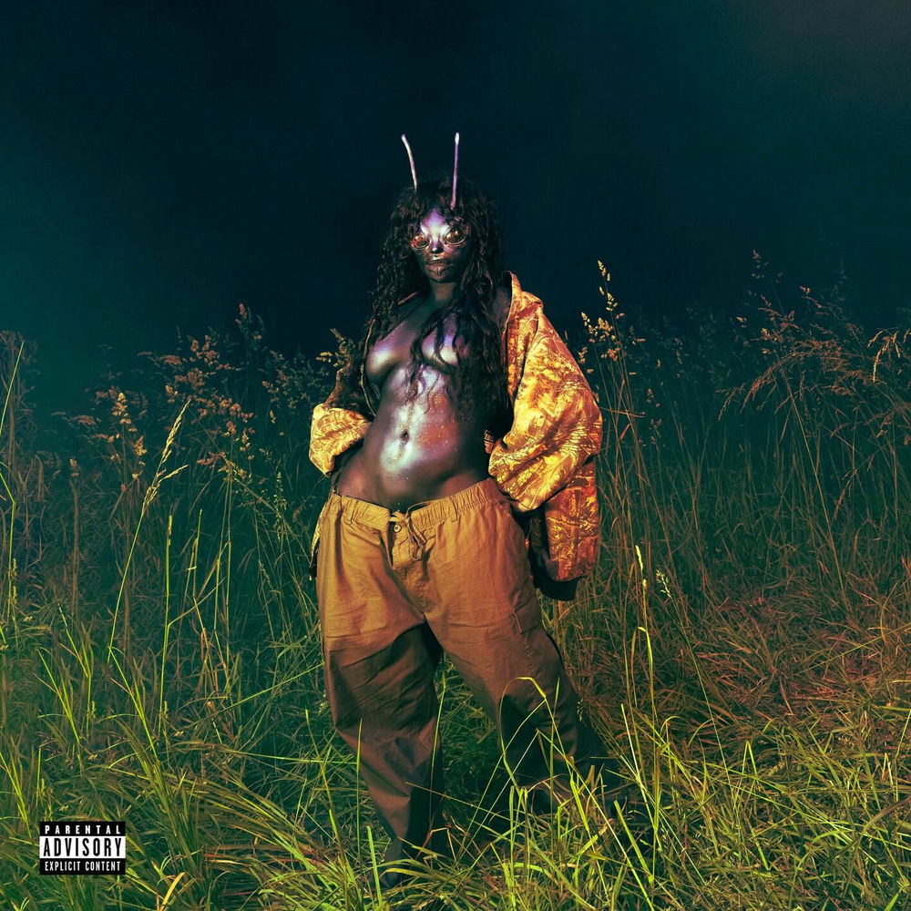 Portada del álbum