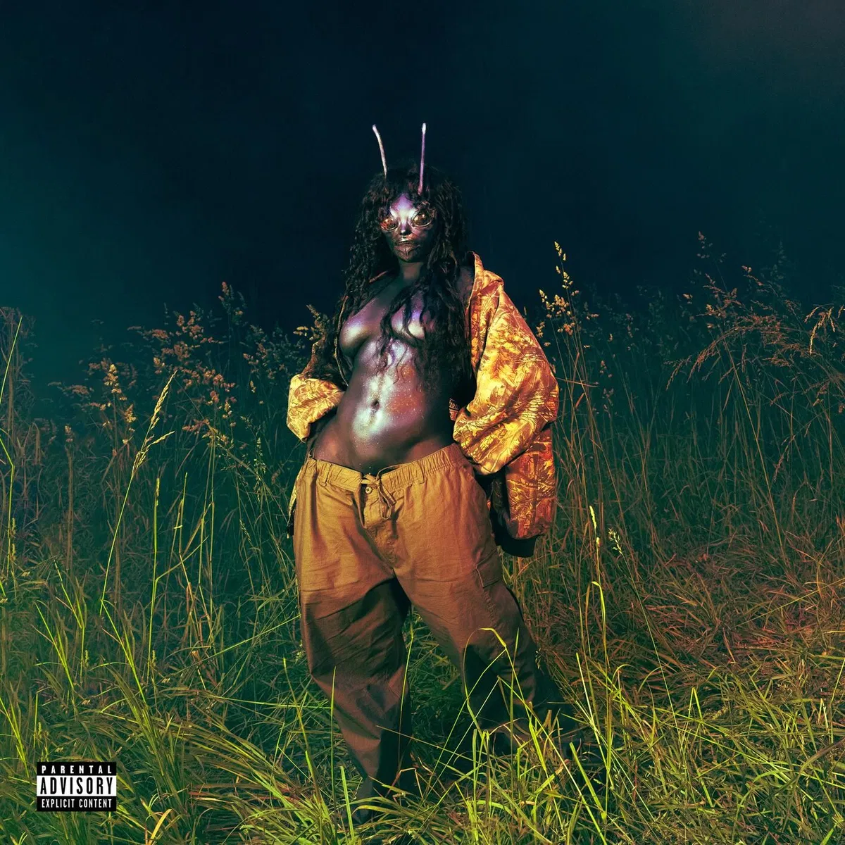 SOS Deluxe: LANA, SZA