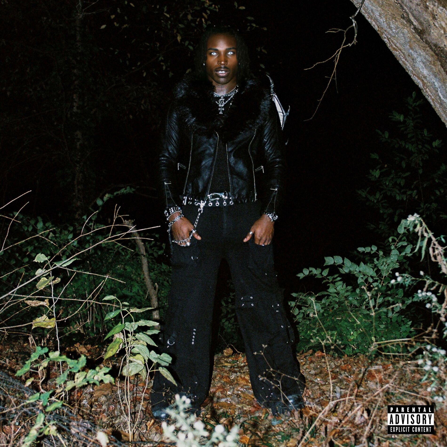 Album cover of before the rising