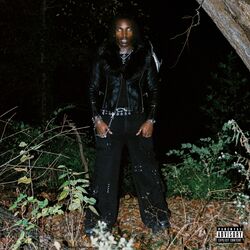 music cover