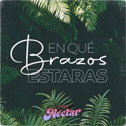 Cover of En Que Brazos Estarás