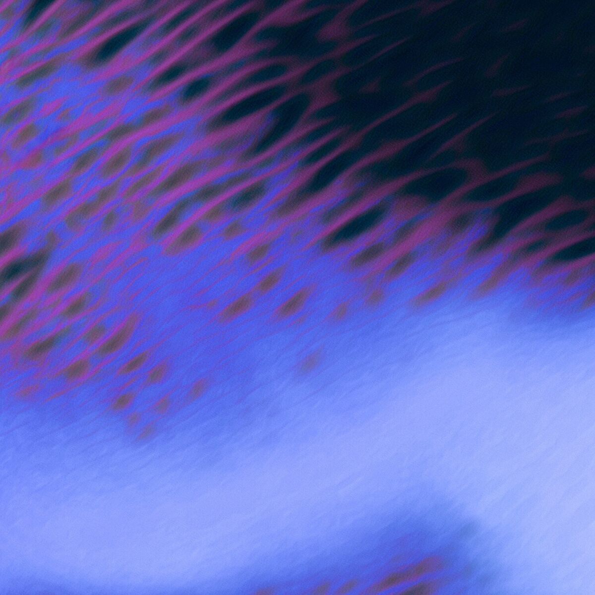 Album cover of Ending With 1000
