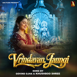 Cover of Vrindavan Jaungi by undefined
