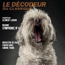Cover of Brahms: Symphonie n°4 (Le Décodeur du Classique)