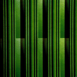 Cover of Digital Primate