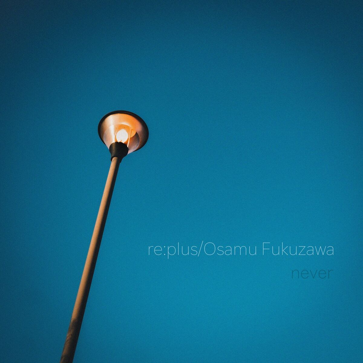 Album cover of never