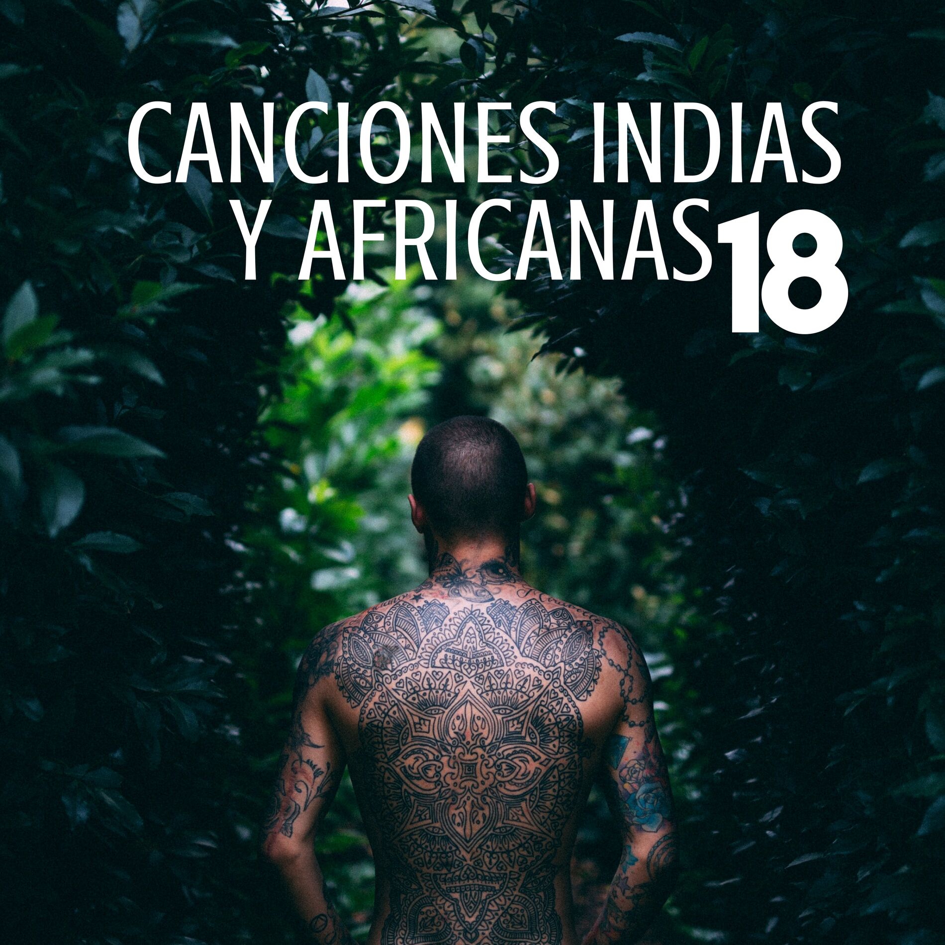 Album cover of 18 Canciones Indias y Africanas: Música Folclórica Local, Tabla y Sitar, Música Budista