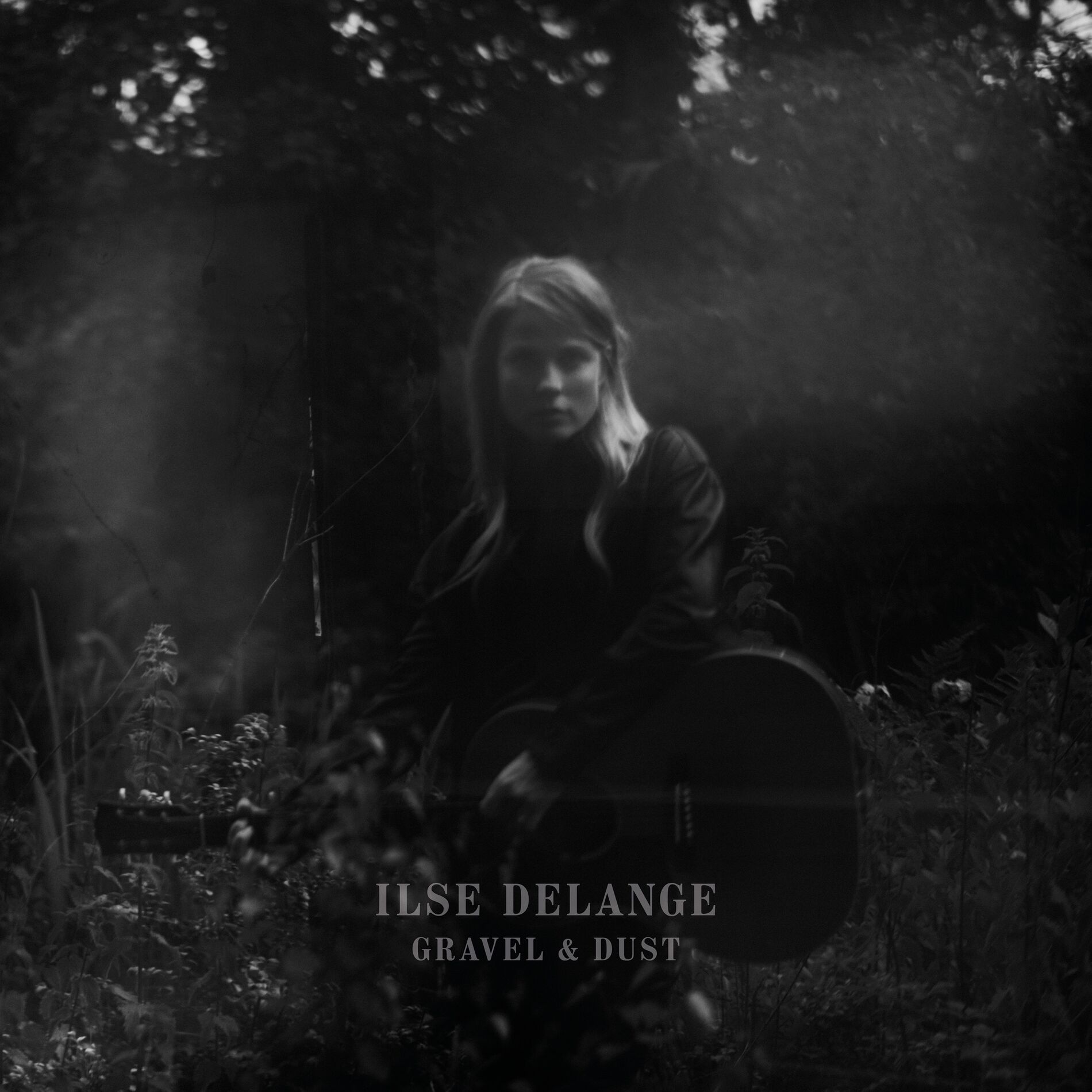 Album cover of Gravel & Dust