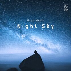 Cover of Night Sky