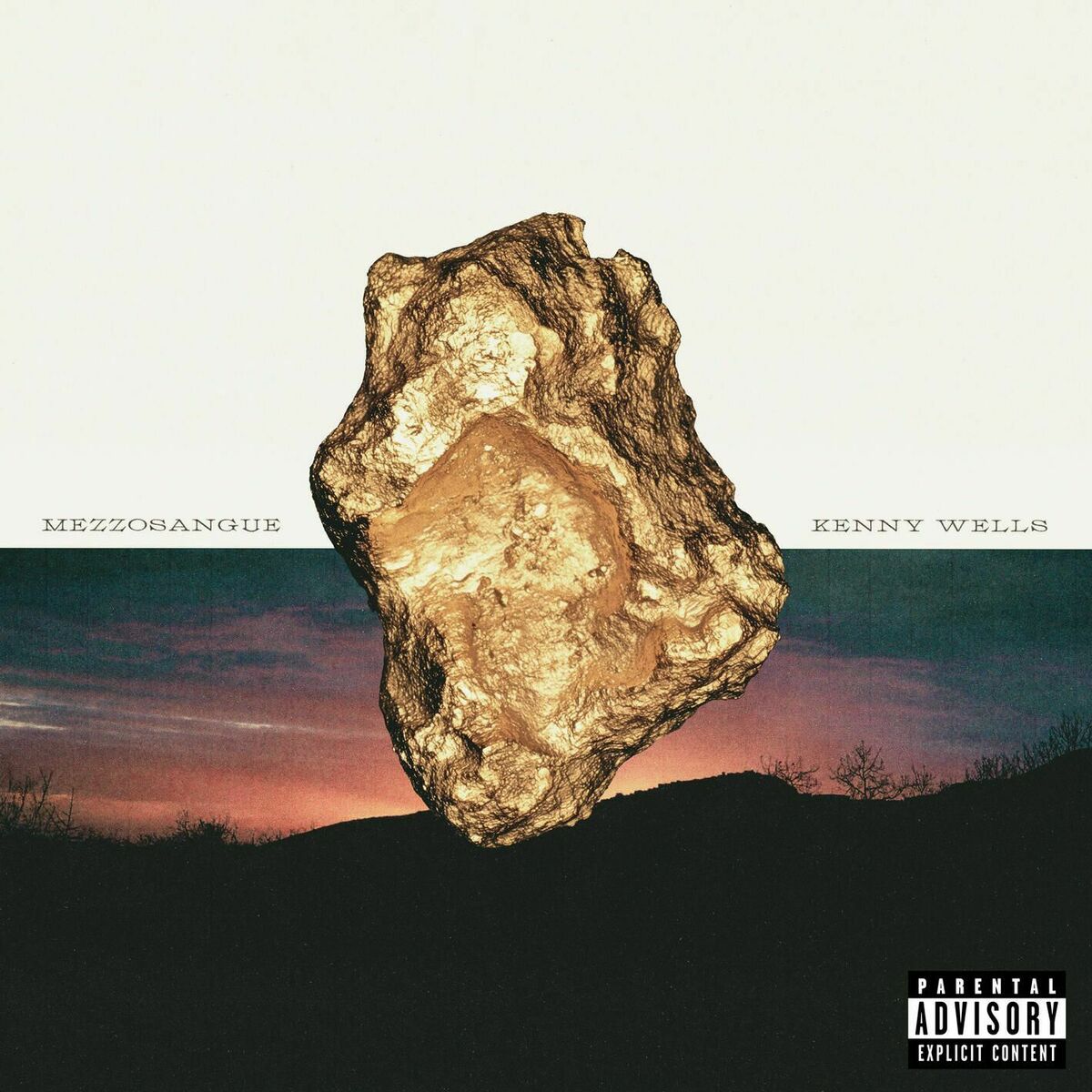 Album cover of Kenny Wells