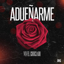 Cover of Adueñarme