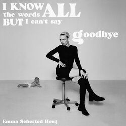 I Know All The Words But I Can't Say Goodbye