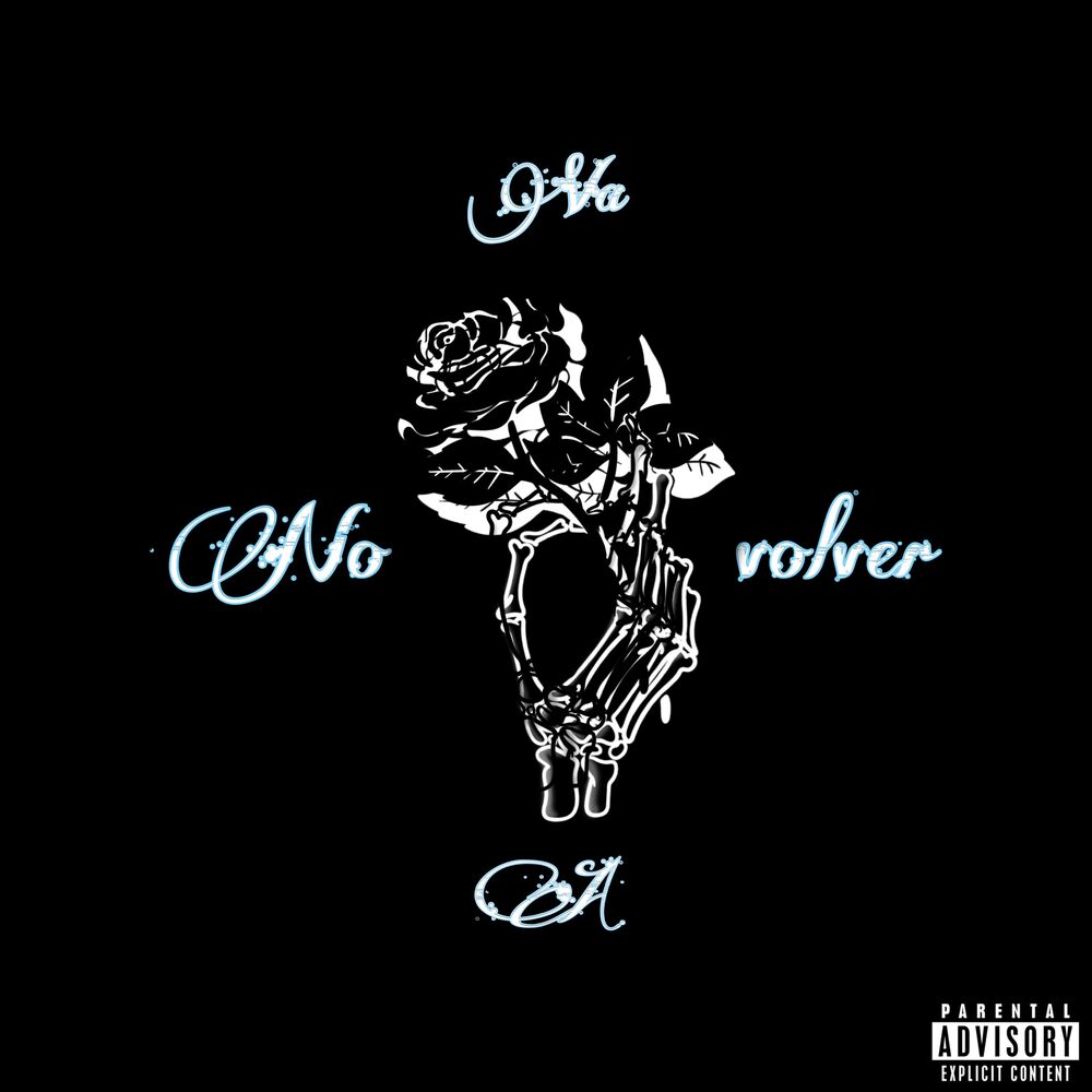 Picture of No Va a Volver