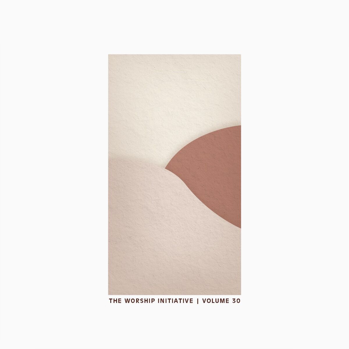 Album cover of The Worship Initiative, Vol. 30