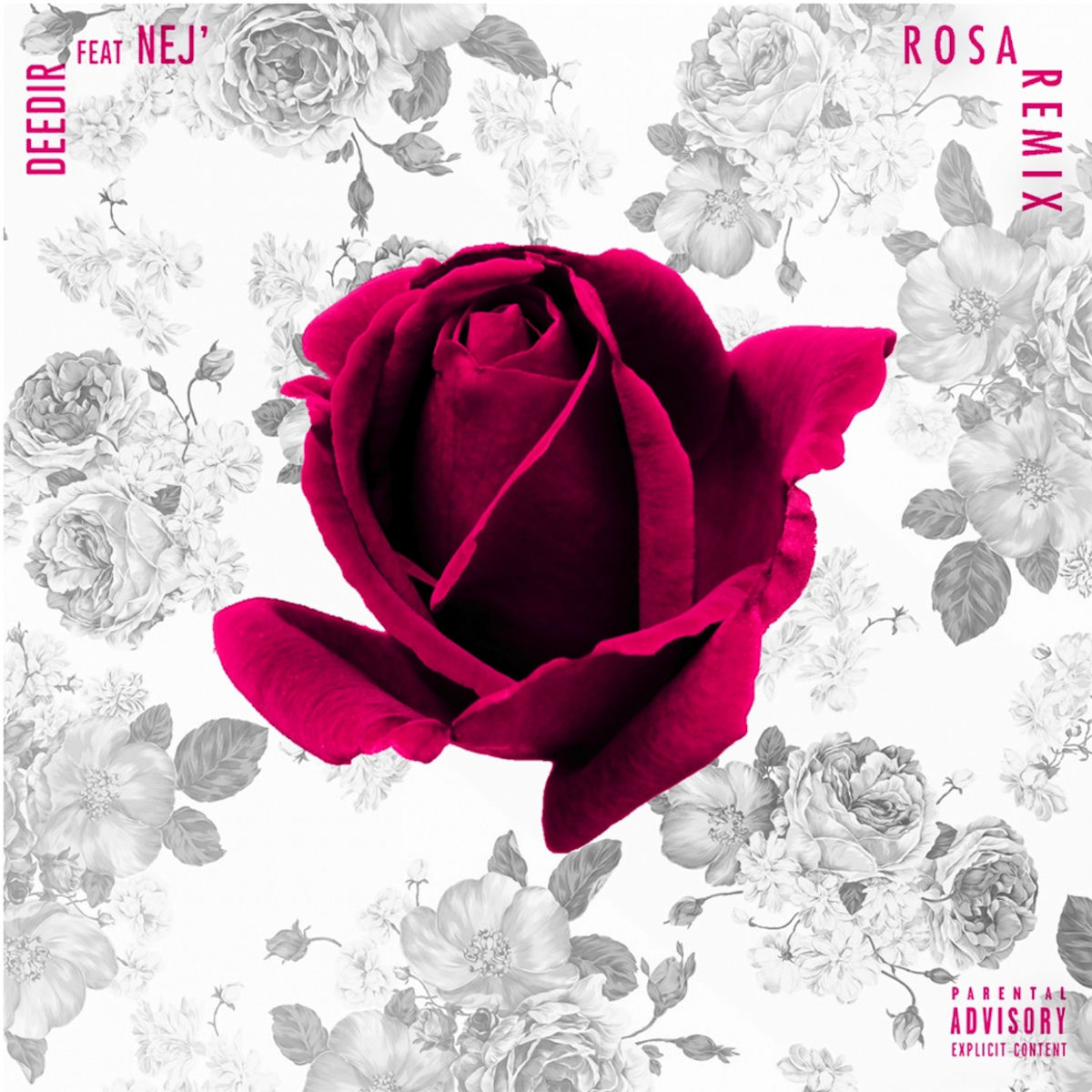 Album cover of Rosa (Remix)