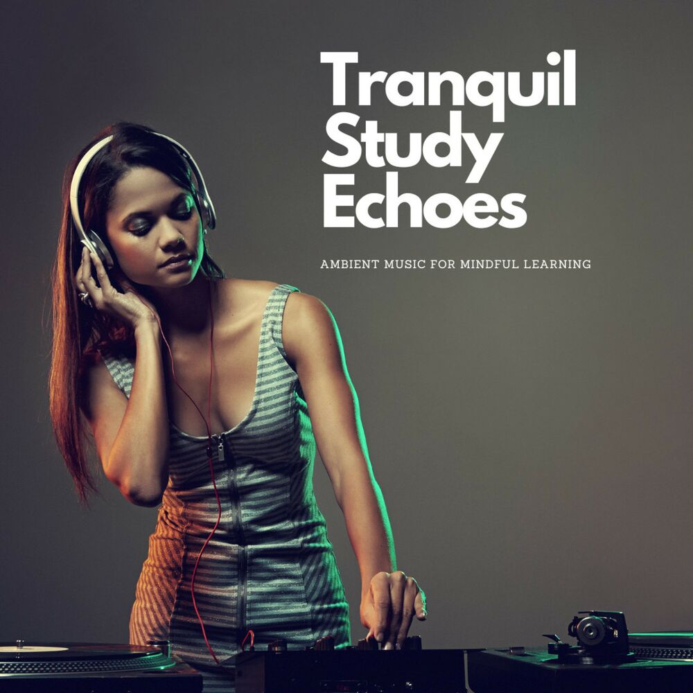 Picture of Tranquil Study Echoes: Ambient Music for Mindful Learning