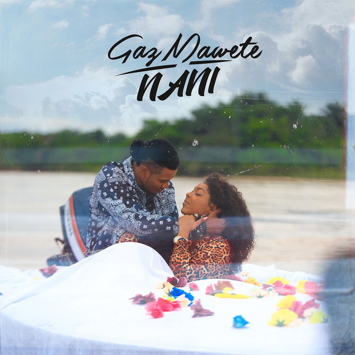 Album cover of Nani