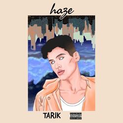 Cover of Haze