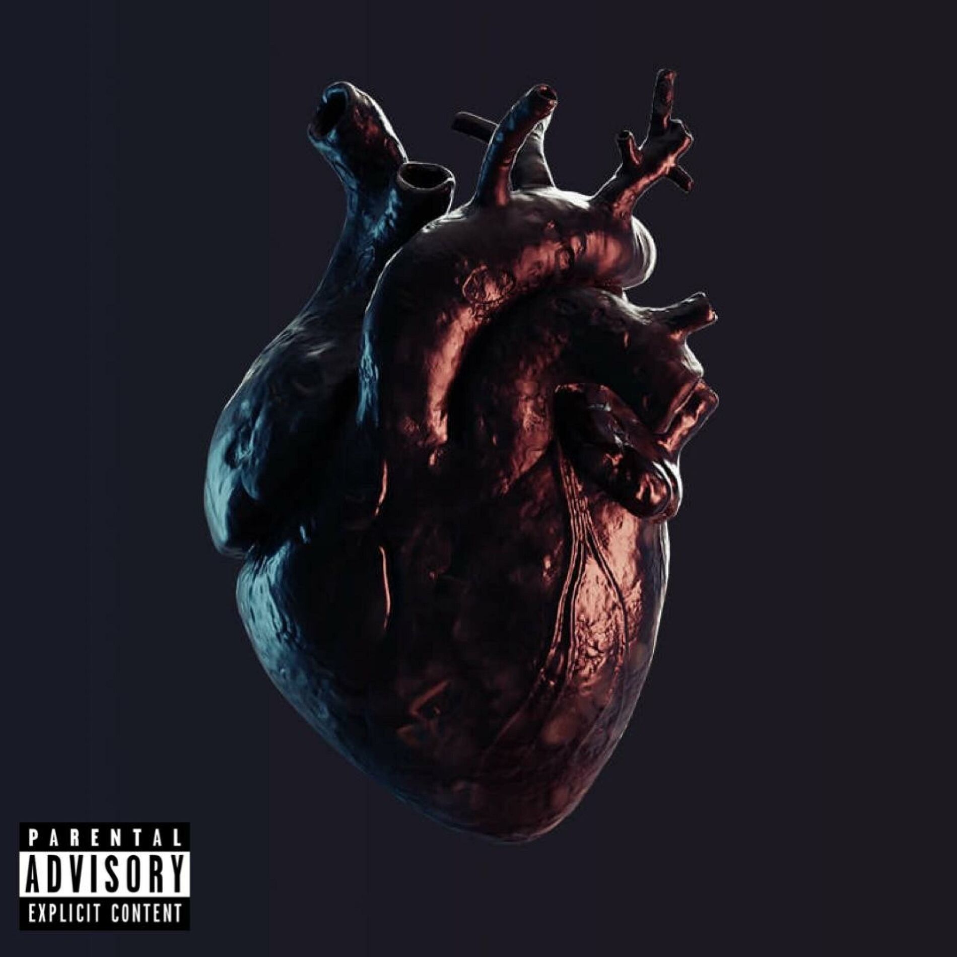 Album cover of Cœur Noir