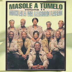 Cover of Mohlala Wa Letsogo Lagao