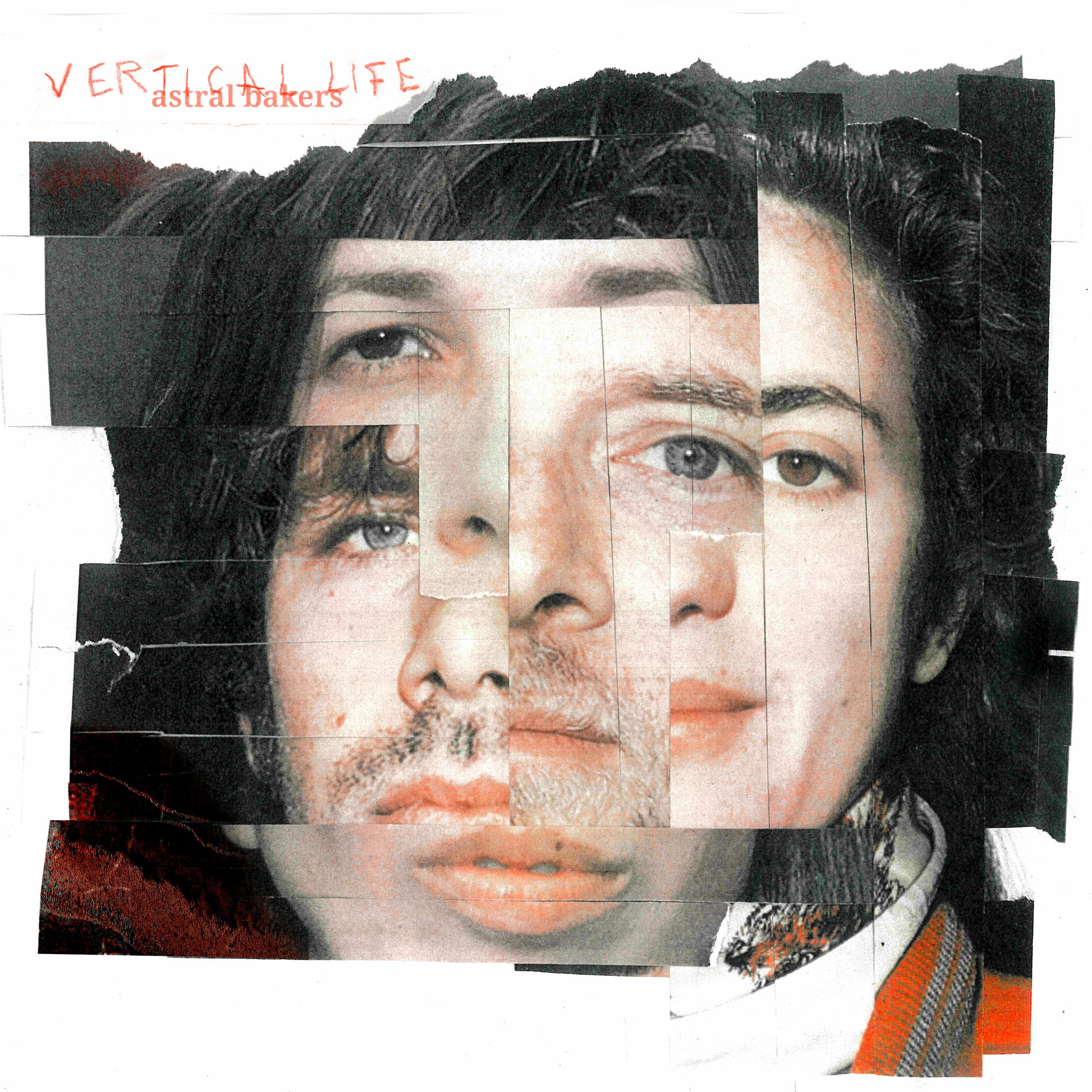 Album cover of Vertical Life