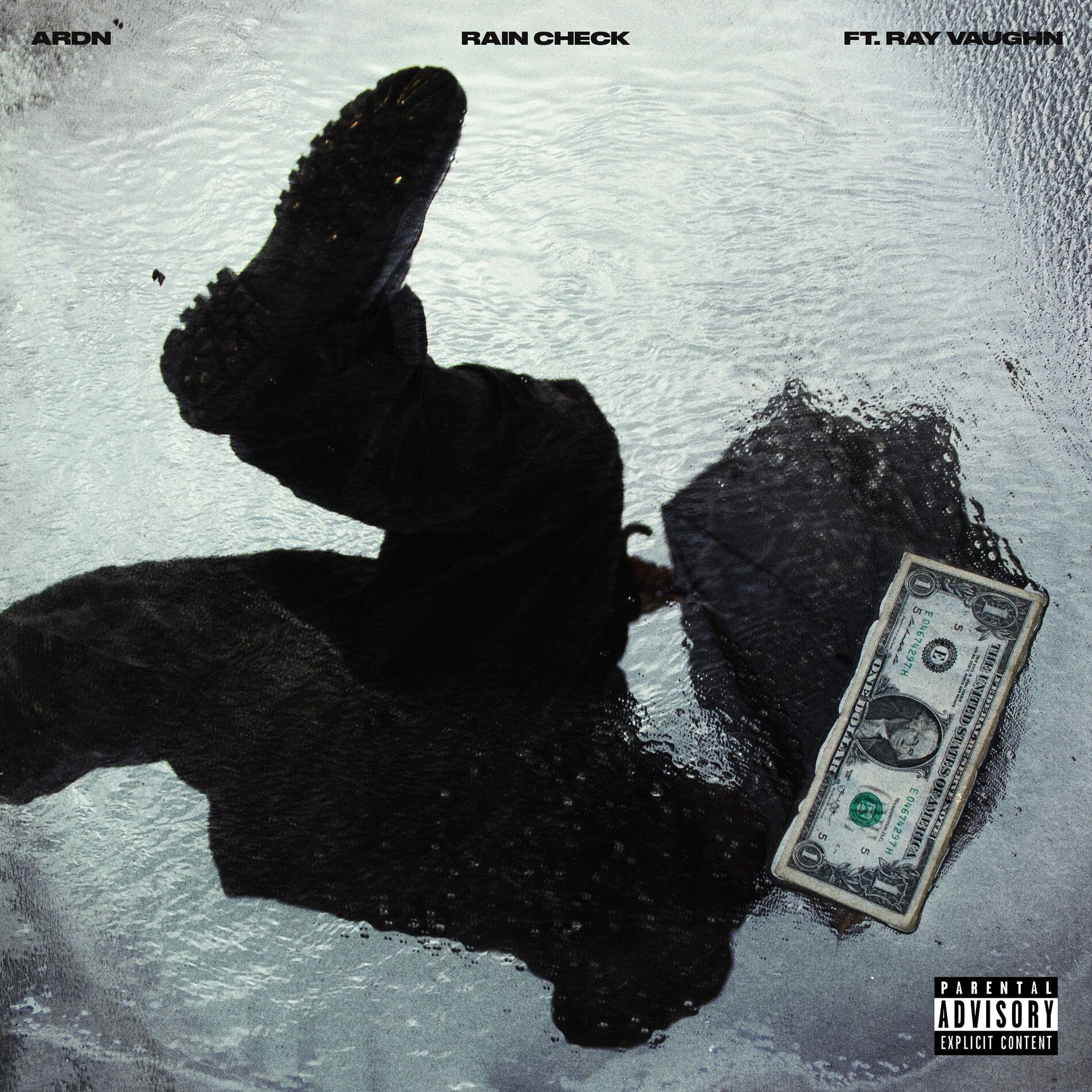 Album cover of RAIN CHECK