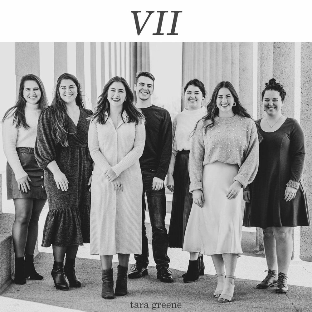 Picture of VII