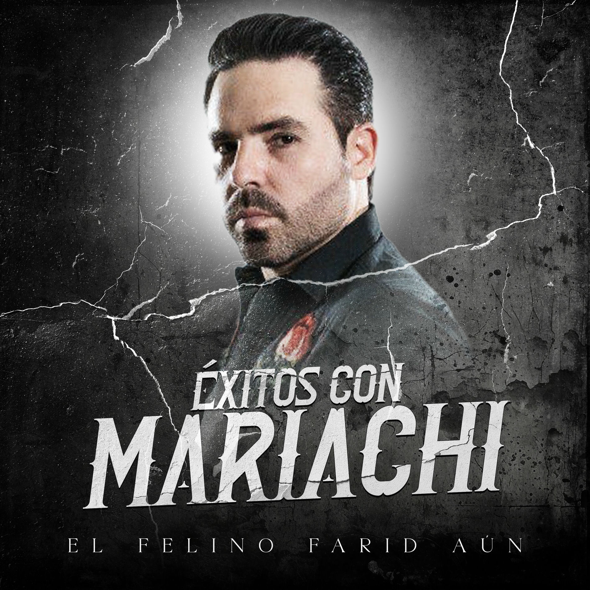 Album cover of Exitos Con Mariachi