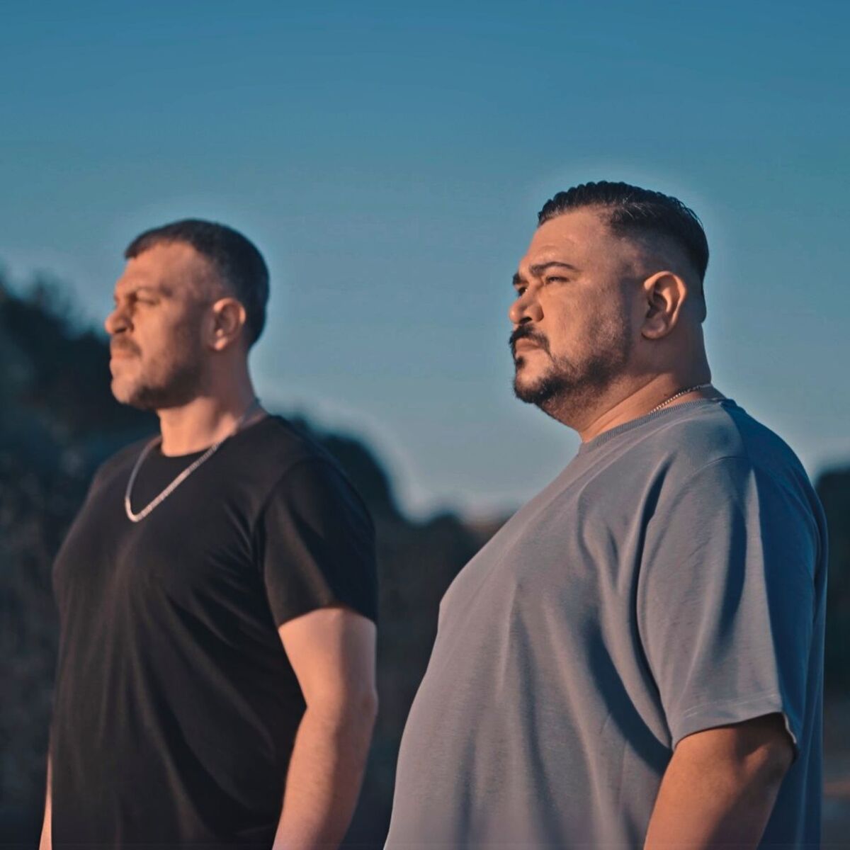 Album cover of Birader (Remix)