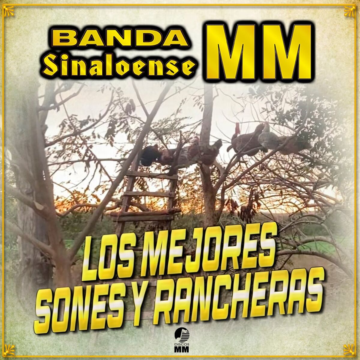 Album cover of Los Mejores Sones Y Rancheras