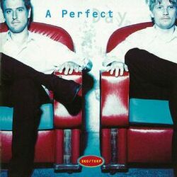 Cover of A Perfect Day