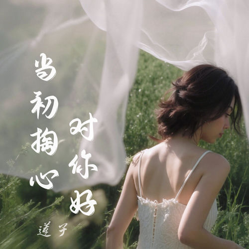 当初掏心对你好