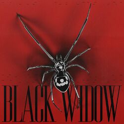 Cover of BLACK WIDOW