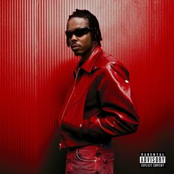 Cover of SHUT IT DOWN