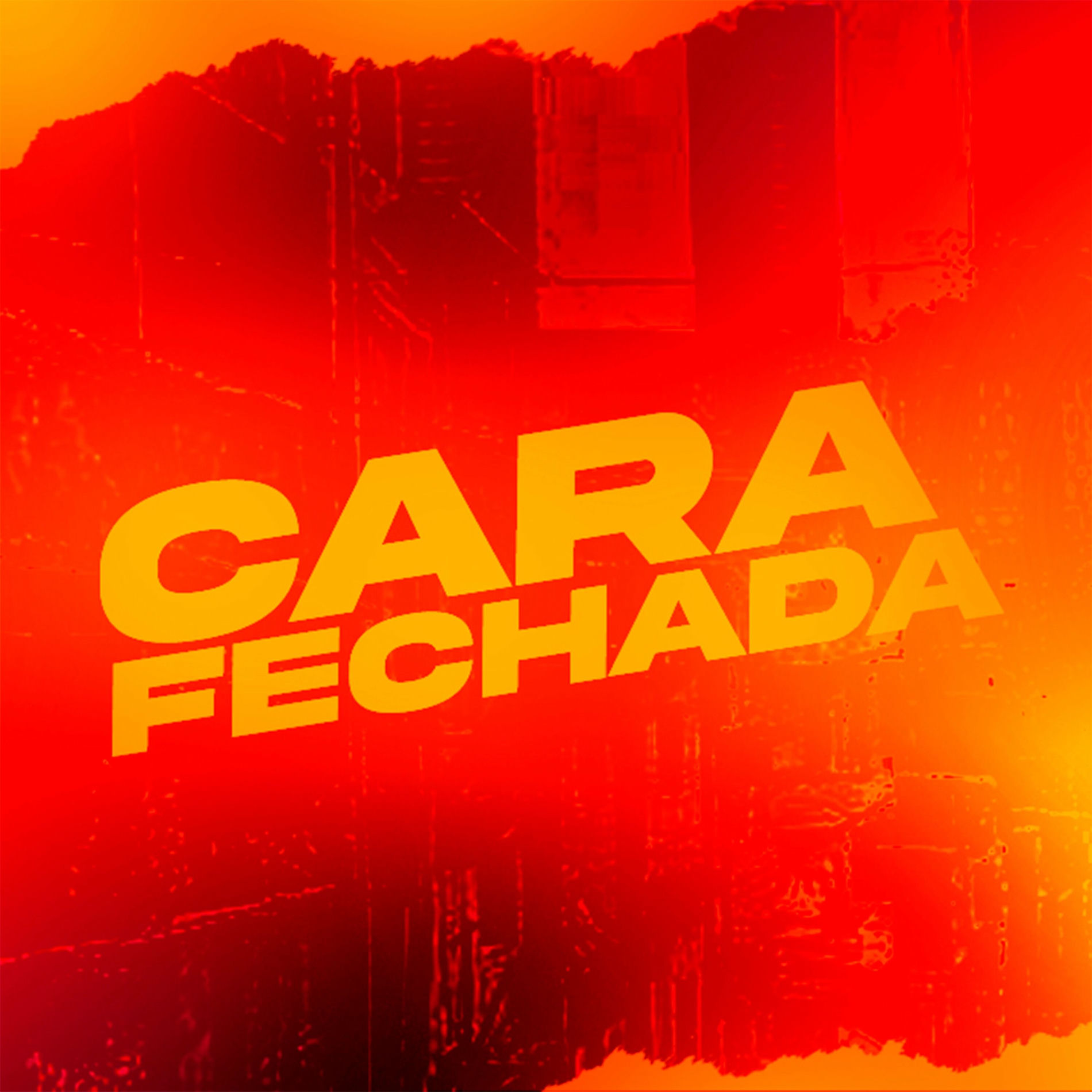 Album cover of Cara Fechada