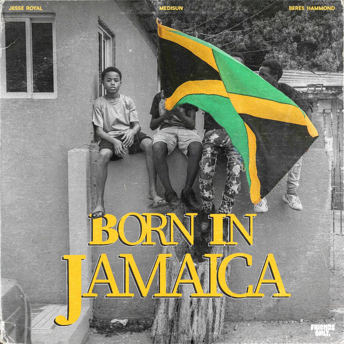 Album cover of Born in Jamaica