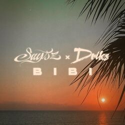 Cover of BIBI