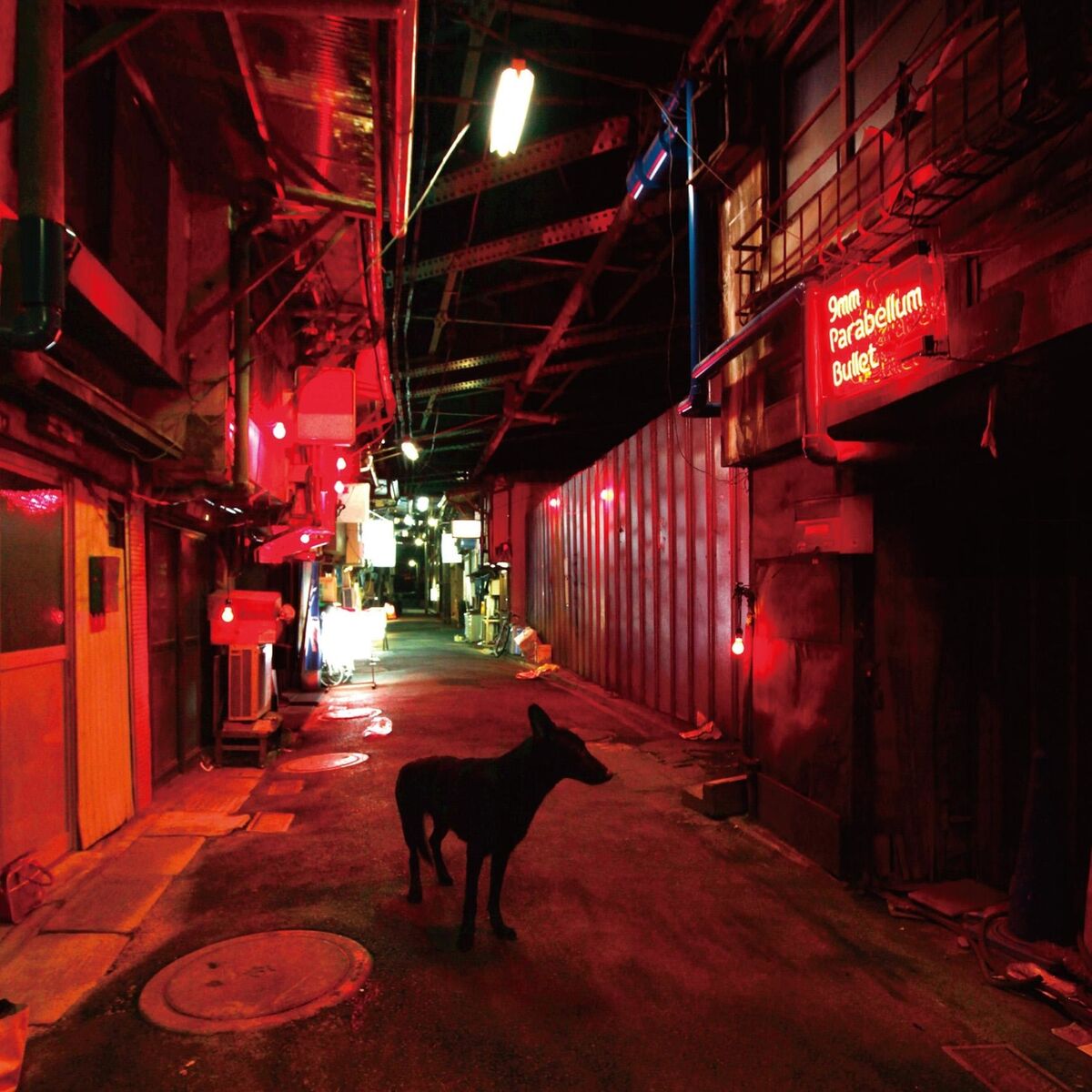 Album cover of Black Market Blues - EP