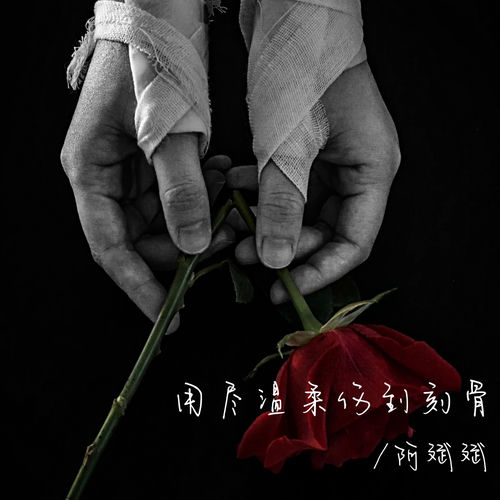 用尽温柔伤到刻骨