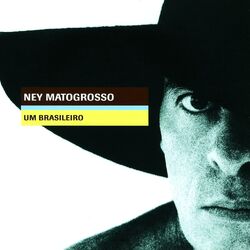 Cover of Um Brasileiro